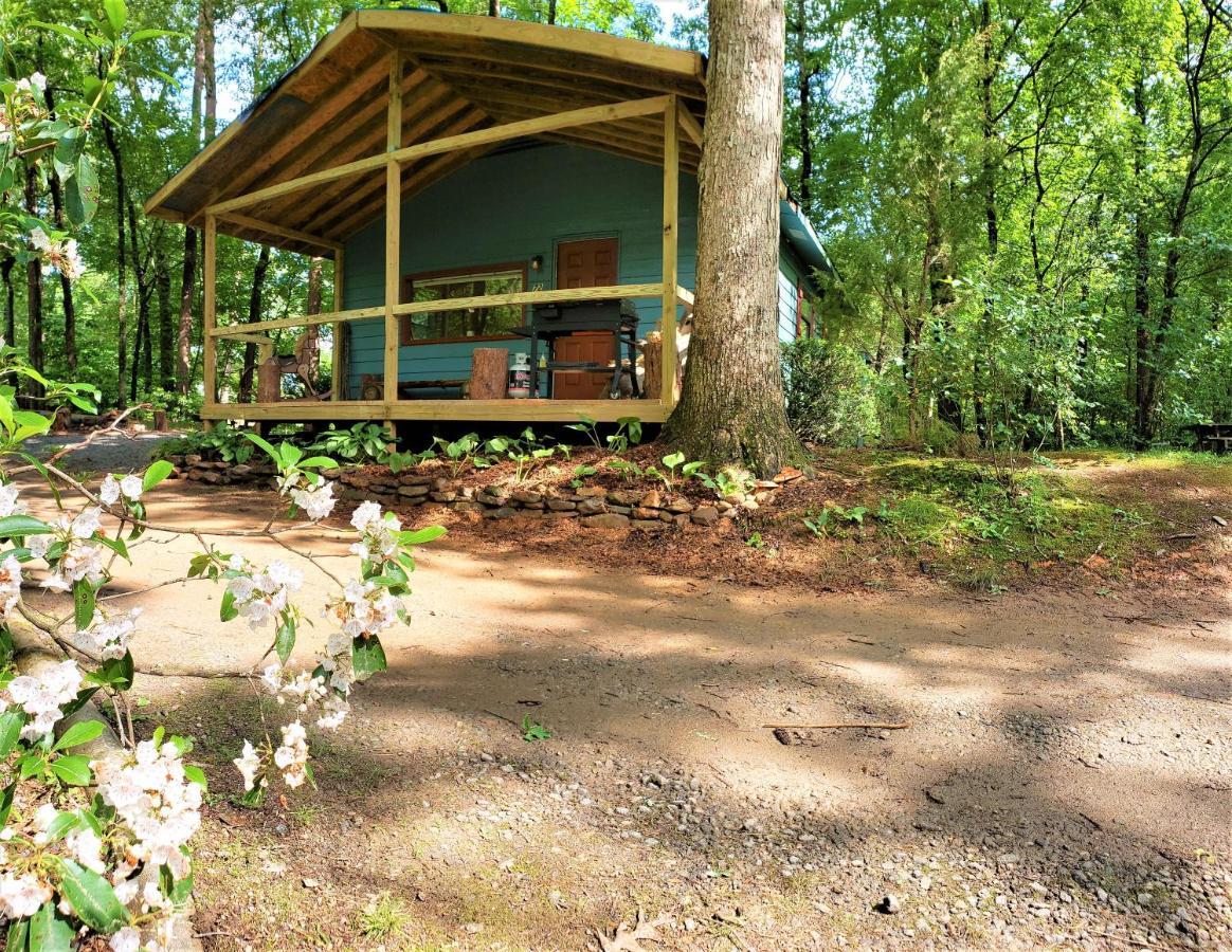 Mountain Laurel Cottage At Hearthstone Cabins And Camping - Pet Friendly เฮเลน ภายนอก รูปภาพ